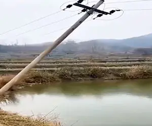 معماری طبیعت؛ تیر برق افقی افتاد تو دریاچه همه ماهیا رو برق گرفت