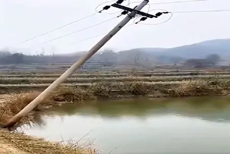 معماری طبیعت؛ تیر برق افقی افتاد تو دریاچه همه ماهیا رو برق گرفت