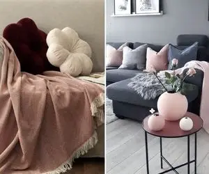 انواع شال مبل در جذاب ترین مدل ها / هیشکی به ایشون حواسش نیست تو بگیر خونتو آس کن