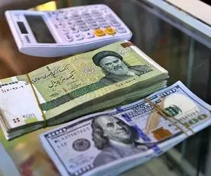 چطور است دلار را جایگزین ریال کنیم؟ 