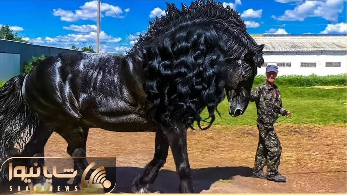 حیوانات غول جثه؛ 20 اسبی که در هر 1000 سال فقط یک بار به دنیا می آیند