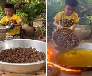 نیم وجبی افتاده جون سوسک ها برای غذا سر نترسی داره ؛ مامان باردارش با چه اشتهایی میخوره!