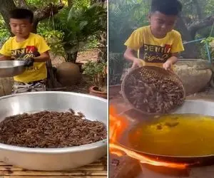 نیم وجبی افتاده جون سوسک ها برای غذا سر نترسی داره ؛ مامان باردارش با چه اشتهایی میخوره!