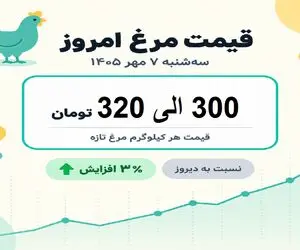 قیمت مرغ امروز سه شنبه 7 مهر 1405 / فیله مرغ کیلویی چند؟