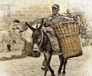 آواز محلی؛ پسرک تو کوه و بیابون سوار بر الاغ چه با بغض و اشک از جدایی میخونه