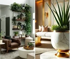 دیزاین پذیرایی خونه های کوچیک با گل‌های فانتزی/ فضای نقلی منزلتو به بهشت تبدیل کن