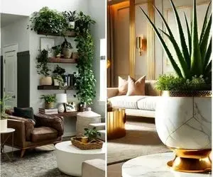 دیزاین پذیرایی خونه های کوچیک با گل‌های فانتزی/ فضای نقلی منزلتو به بهشت تبدیل کن