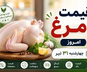 قیمت مرغ امروز چهارشنبه ۳۱ تیر ۱۴۰۵  / بازار مرغ نسبت به دیروز تغییر کرد؟