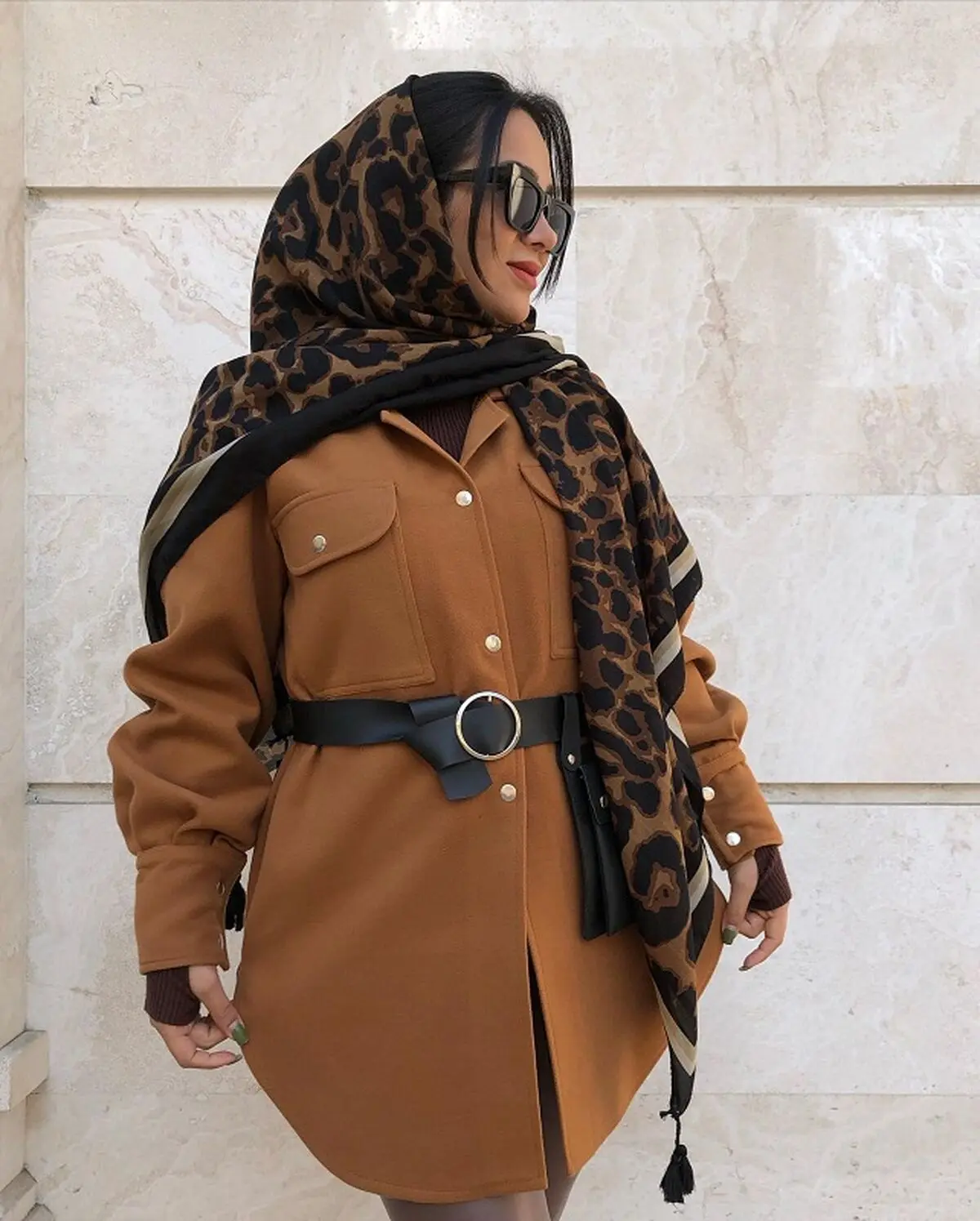 پالتو شتری