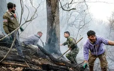 دستگیری عامل آتش‌سوزی جنگل‌های هیرکانی در بابل