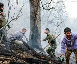 دستگیری عامل آتش‌سوزی جنگل‌های هیرکانی در بابل