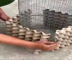 معماری خلاقانه؛ اوهوع با کارتن تخم مرغ یه گلدون ساخت درخور خونه ی ولیعهد عربستان لوکس