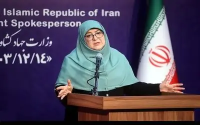 سخنگوی دولت: روابط ما با کشورها تابع منافع ملی است