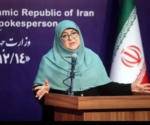 سخنگوی دولت: روابط ما با کشورها تابع منافع ملی است
