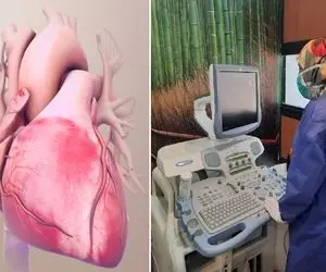 بهترین و متخصص ترین دکتر های آریتمی قلب تهران/ بیماری که نباید دست کم بگیرید