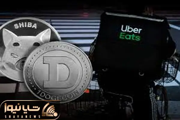 shibainu-Dogecoin 