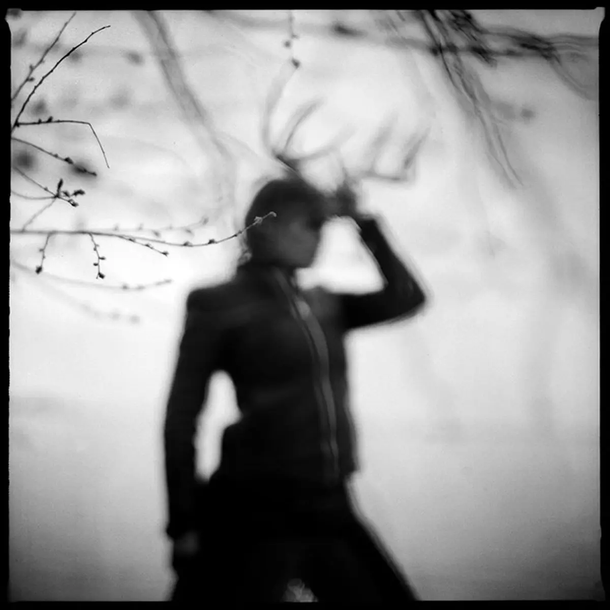 زنانگی در قاب