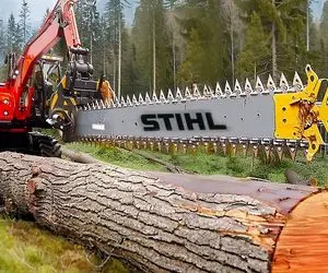 ابزار آلات غول پیکر؛ فکر کردن مار پیتون تنه درخته با اره برقی شرحه شرحش کردن