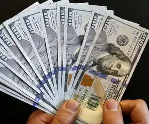 قیمت دلار توافقی امروز شنبه 1 شهریور 1404 / حواله دلار ثابت ماند