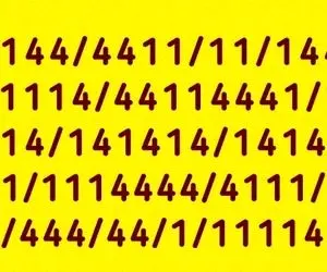 تست هوش تصویری با جواب؛ اگه رَنک اول همه نابغه ها خودتی عدد 1/4 رو تو عکس پیدا کن!