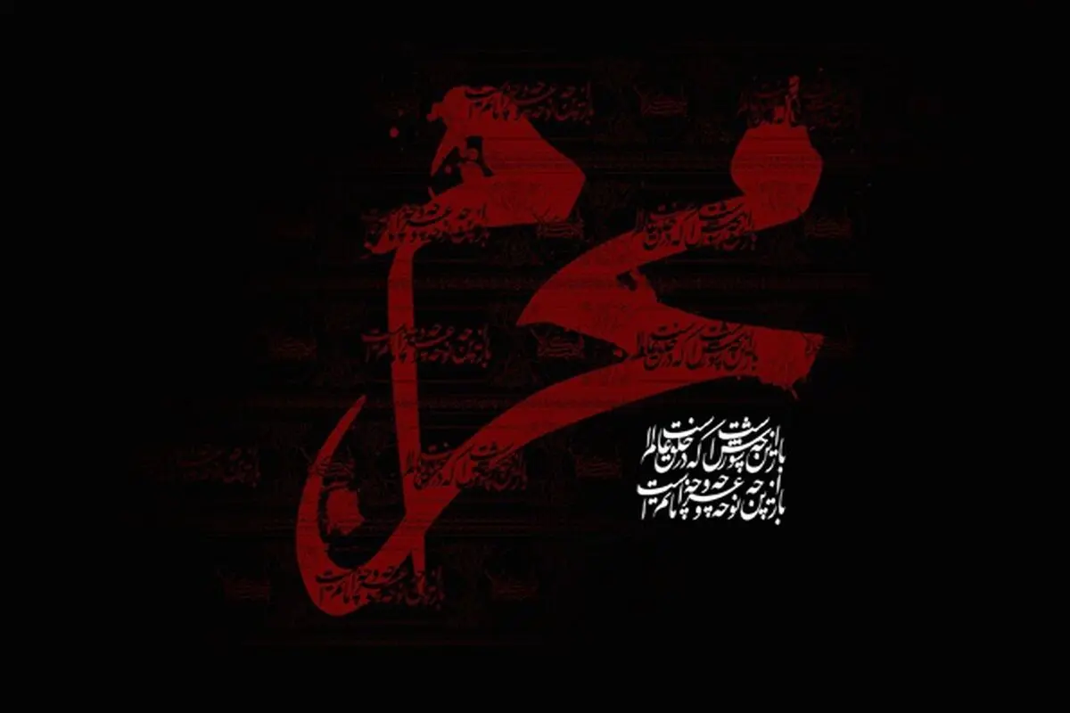 n00128489-b