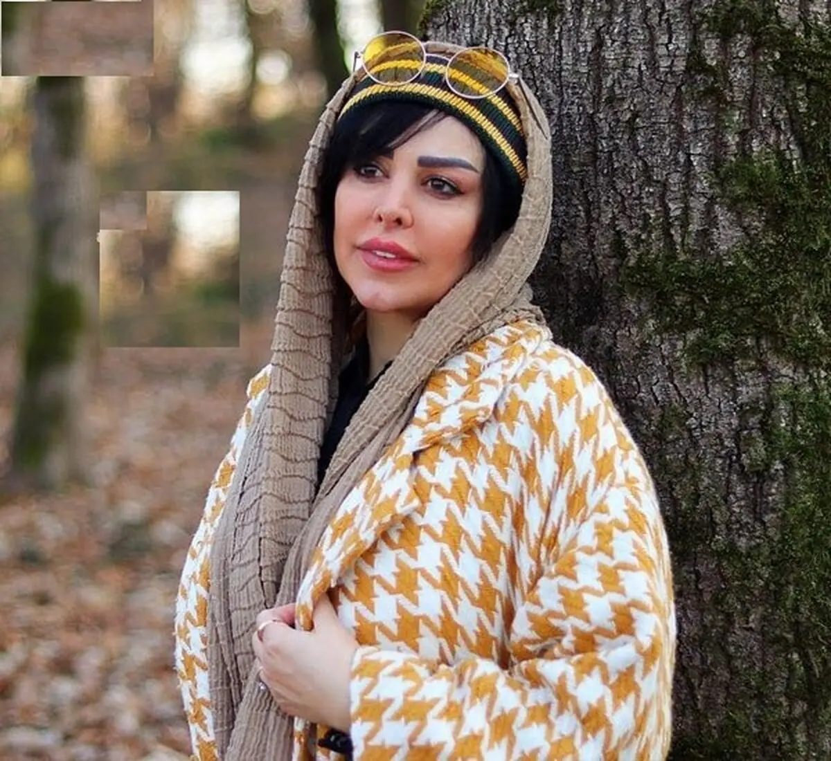 نیک