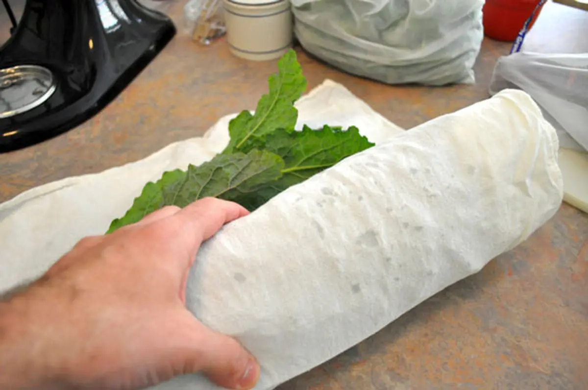 Keep-lettuce-fresh-6