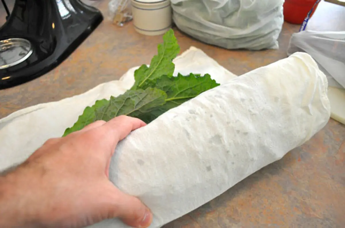 Keep-lettuce-fresh-6