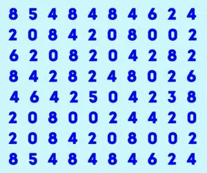 تست هوش تصویری با جواب؛ اگه رَنک اول مغزهای عالم خودتی عدد 248 رو تو عکس پیدا کن!