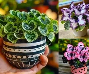 گیاهان آپارتمانی جمع و جور خوشگل برای خونه های کوچیک؛ ایجاد نقطه کانونی و فضای چشمگیر