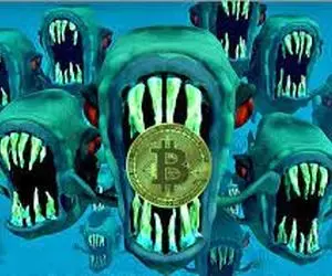 چرانهنگ های زمستانی بیت کوین اومدند؟