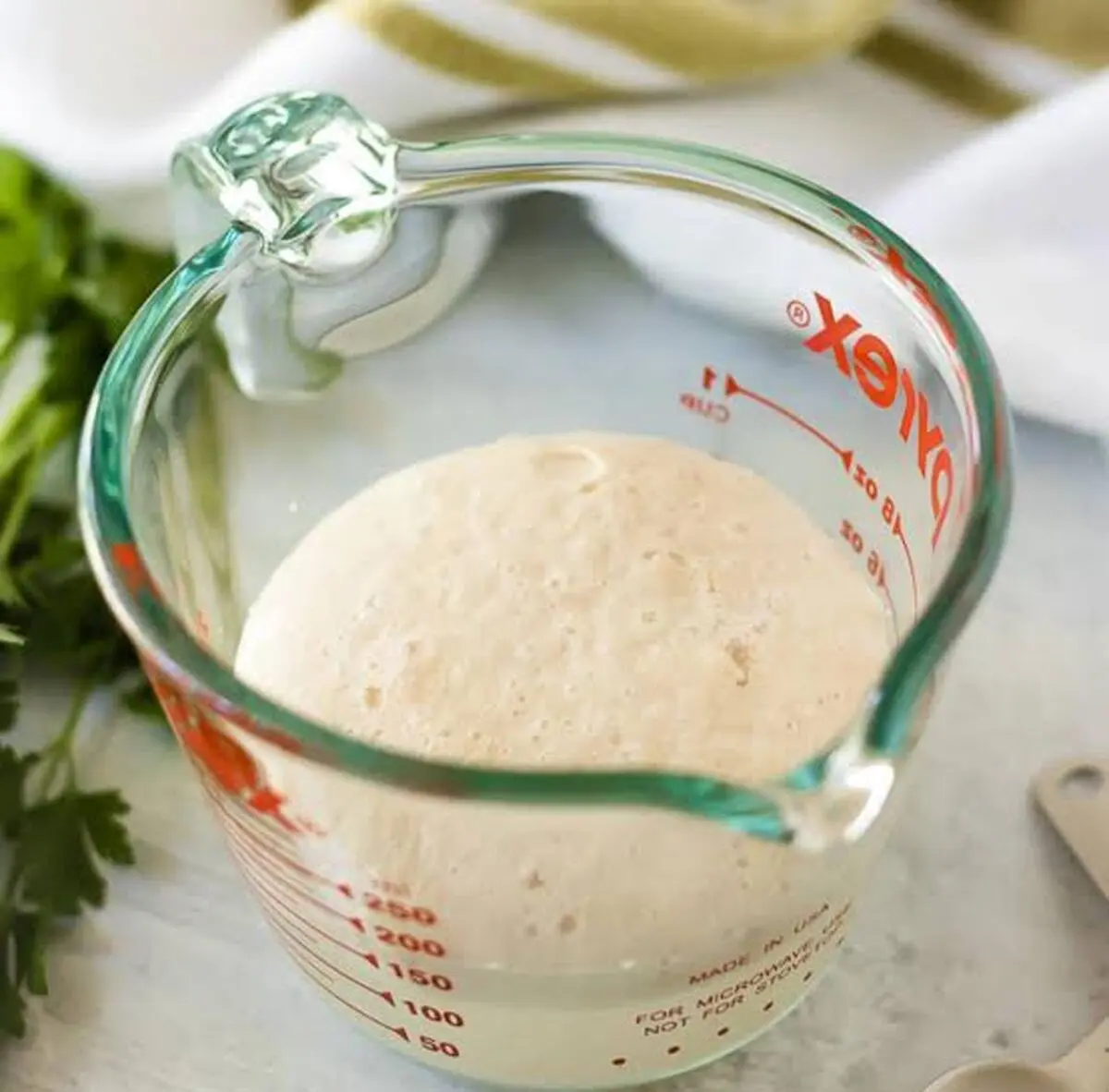 خمیر مایه
