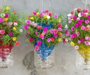 ایده های خلاقانه؛ با بطری های پلاستیکی دوغ و نوشابه آویز گل درست کن خوشگلو جذاب