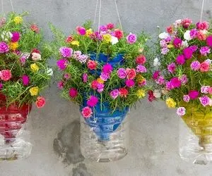 ایده های خلاقانه؛ با بطری های پلاستیکی دوغ و نوشابه آویز گل درست کن خوشگلو جذاب