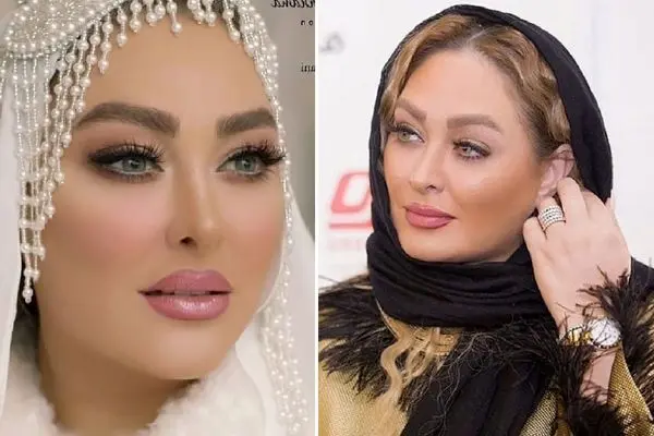 elham hamidi shayanews