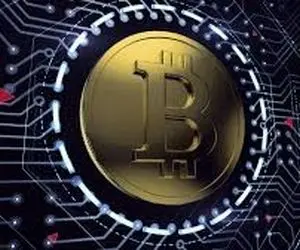 دلیل این همه خرید بیت کوین؛منادای سیگنال؟