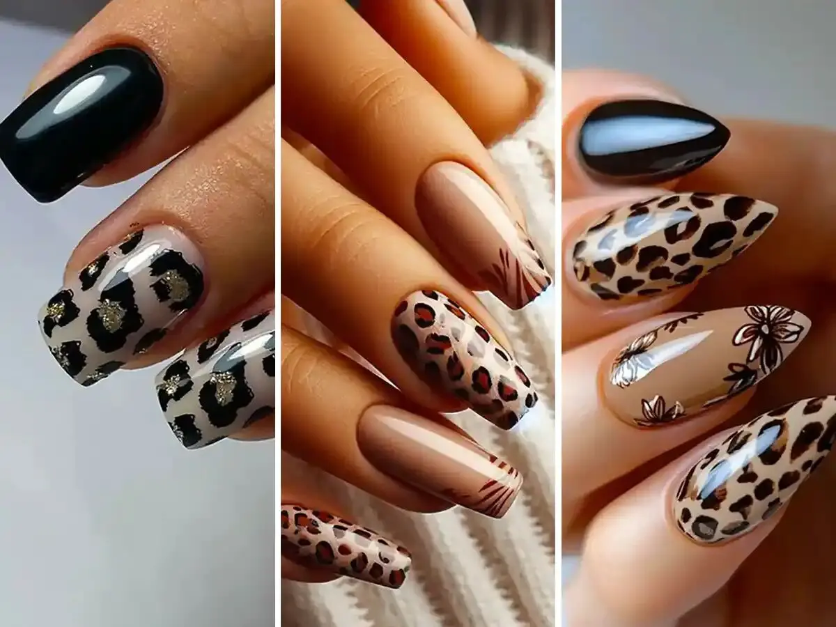 پلن8