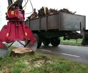 ابزارآلات غول پیکر؛ اپراتور بیل مکانیکی چنگک دو لبه اشو انداخت زیر درخت تقه بزنه درآد