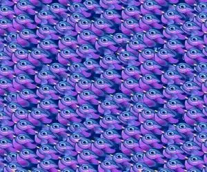 بازی فکری؛ پروانه استتار کرده بین پرنده ها تا خورده نشه میتونی پیدا کن خیلیا نتونستن