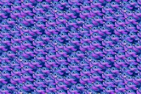 بازی فکری؛ پروانه استتار کرده بین پرنده ها تا خورده نشه میتونی پیدا کن خیلیا نتونستن