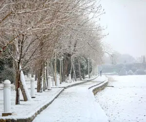 بارش برف مدارس تهران را تعطیل کرد 