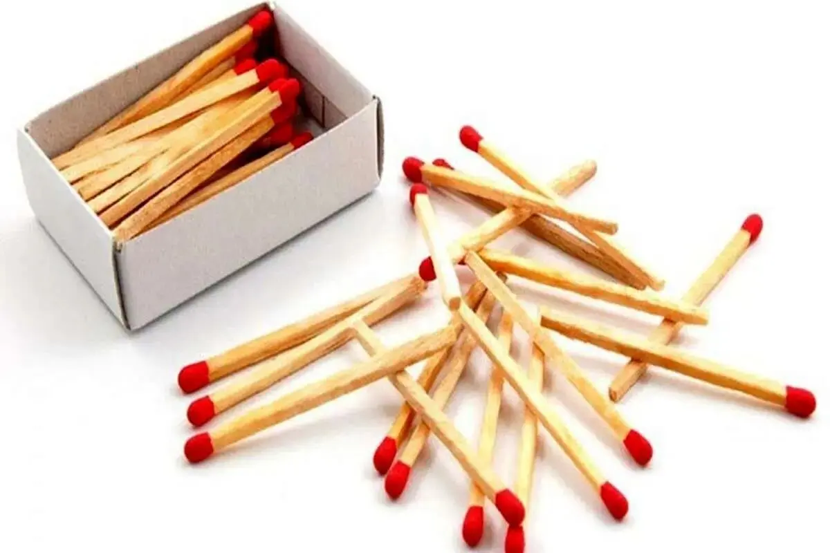 شپش3