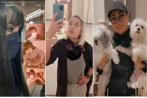 parastoo salehi shayanews