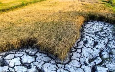 گلستان در آستانه فاجعه اقلیمی!