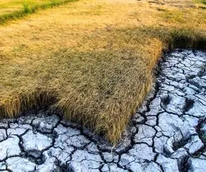 گلستان در آستانه فاجعه اقلیمی!
