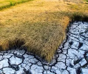 گلستان در آستانه فاجعه اقلیمی!