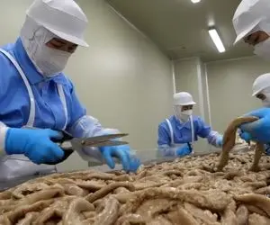 کنسرو روده ؛ کارخونه بسته بندی روده گاو /  به حق چیزای ندیده همه چی دیده بودیم  اِلا این