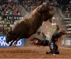 تاخت و تازهای خونین؛ گاو عصیانگر تو بازی گاوچرونو پرت کرد زین گردنش شکست مرد