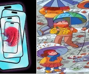 بازی فکری؛ قورباغه پنهان را پیدا و ثابت کنید که ضریب هوشی شما بالاتر از متوسط ​​است