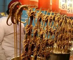 غذای دیده نشده ؛ میگن پوستتو میکنم سنجاب بیچاره رو جوری پوستشو کند سرخ کرد که نگو